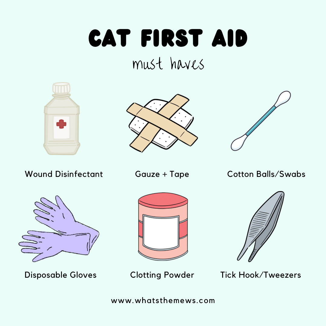 Feline First Aid Kit